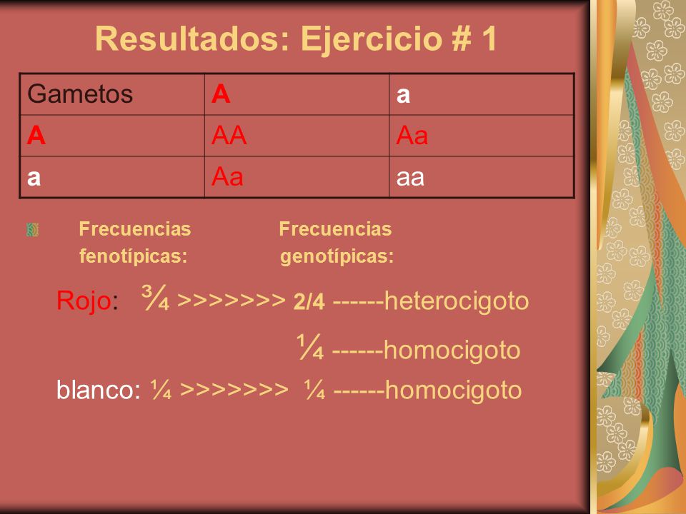 Resultados: Ejercicio # 1