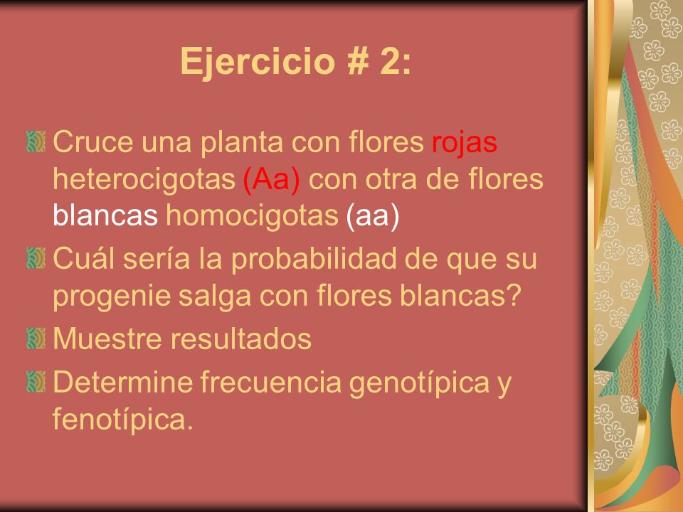 Ejercicio # 2: Cruce una planta con flores rojas heterocigotas (Aa) con otra de flores blancas homocigotas (aa)