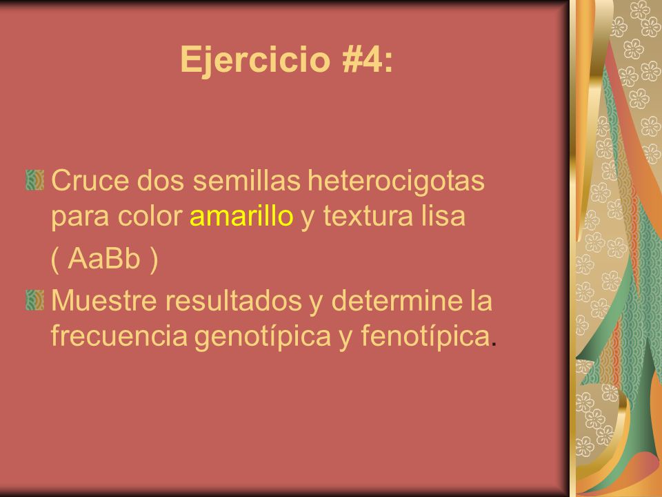 Ejercicio #4: Cruce dos semillas heterocigotas para color amarillo y textura lisa. ( AaBb )