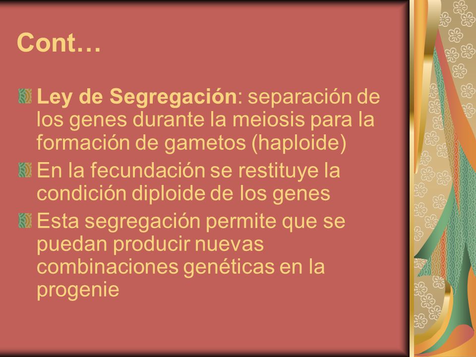 Cont… Ley de Segregación: separación de los genes durante la meiosis para la formación de gametos (haploide)