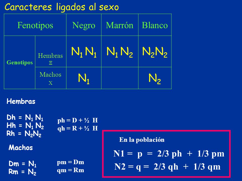 Hembras  N1 N1 N1 N2 N2N2 N1 N2 Caracteres ligados al sexo Fenotipos