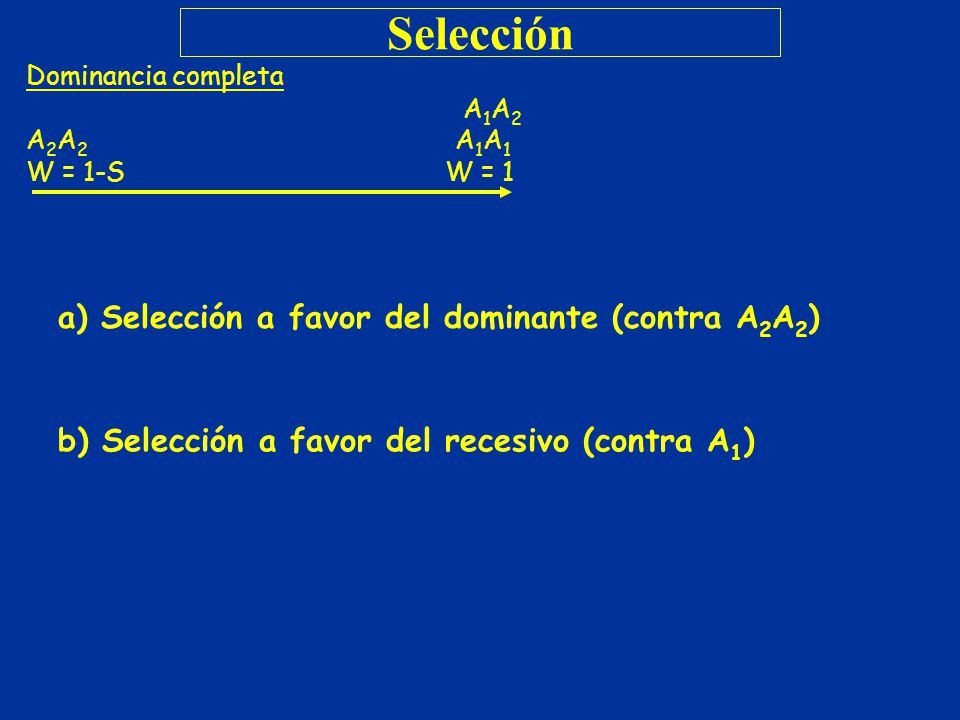 Selección a) Selección a favor del dominante (contra A2A2)