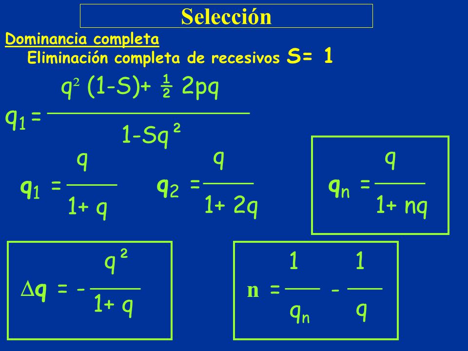 q1 = Selección q² (1-S)+ ½ 2pq 1‑Sq² q q1 = 1+ q q q2 = 1+ 2q q qn =