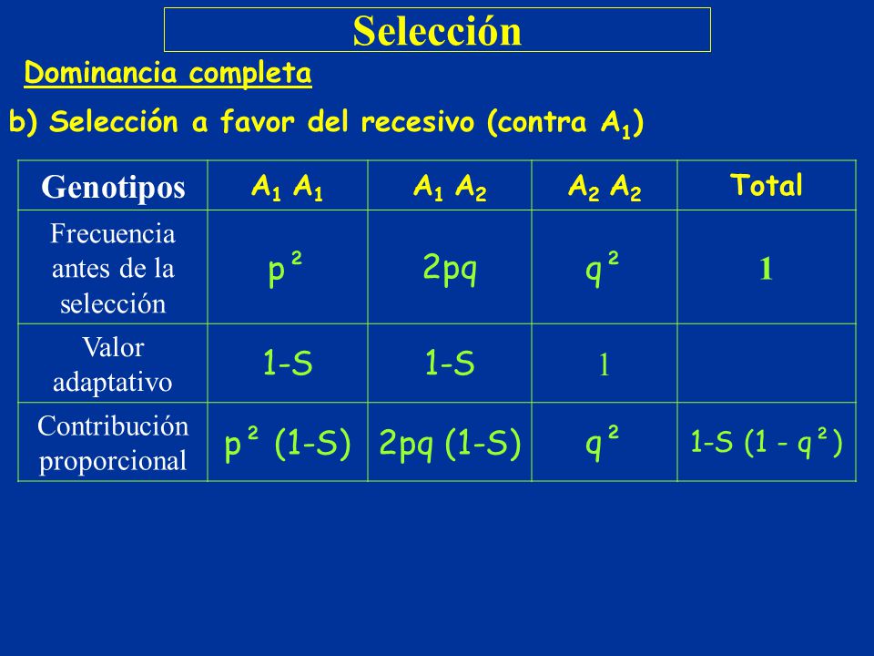 Selección Genotipos p² 2pq q² 1 1-S p² (1‑S) 2pq (1‑S)