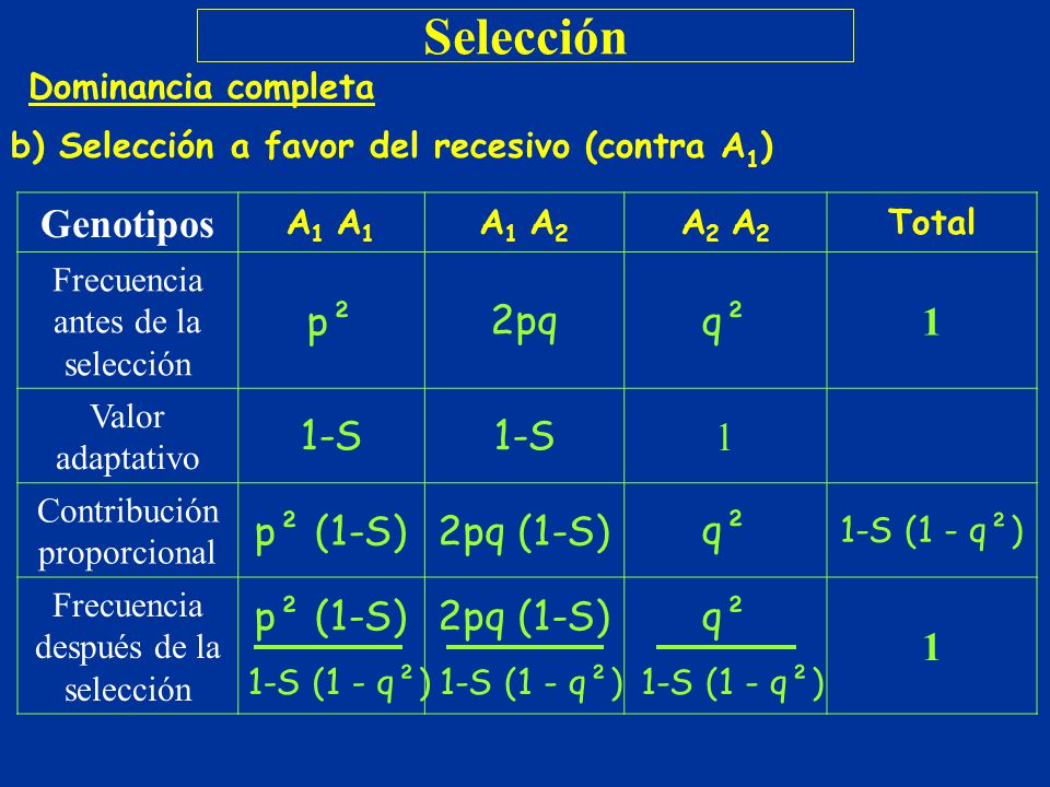 Selección Genotipos p² 2pq q² 1 1-S p² (1‑S) 2pq (1‑S)