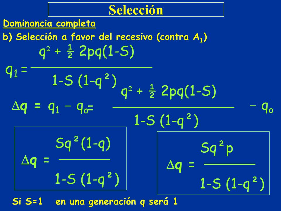 q1 = Selección q² + ½ 2pq(1-S) 1‑S (1-q²) q² + ½ 2pq(1-S) = ‑ qo