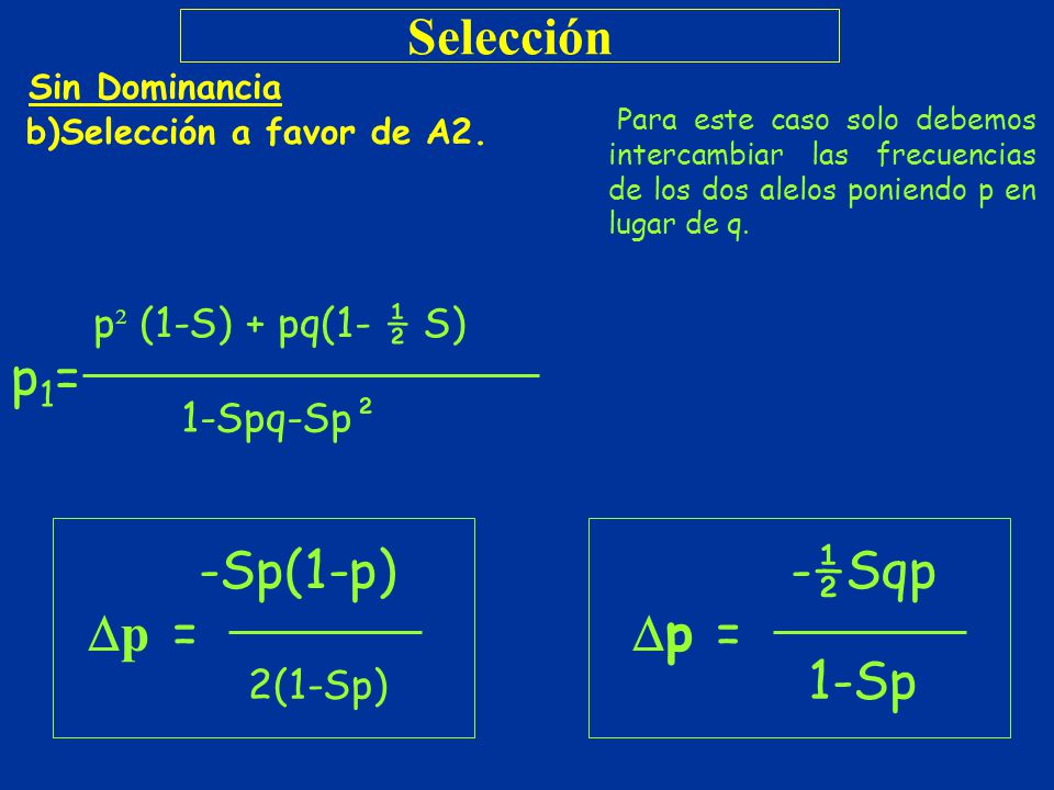 Selección p1= ‑Sp(1‑p) p = ‑½Sqp p = 1‑Sp p² (1-S) + pq(1- ½ S)