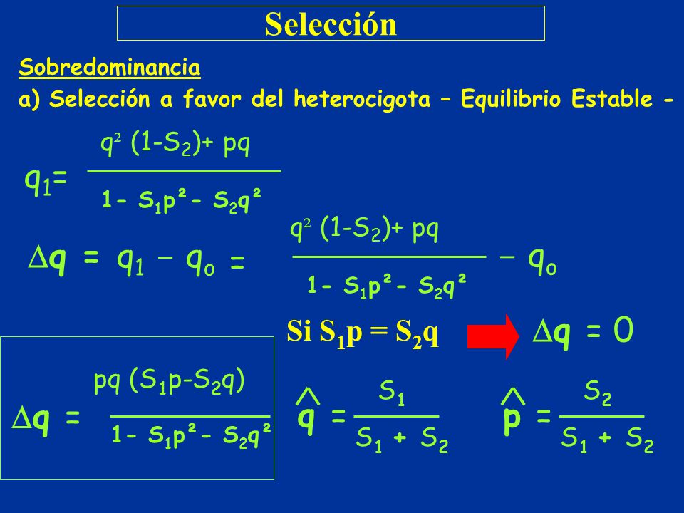 Selección q1= = ‑ qo q = 0 pq (S1p‑S2q) q = q = p = Si S1p = S2q