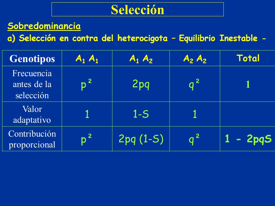 Selección Genotipos p² 2pq q² 1 1-S 2pq (1-S) 1 - 2pqS Sobredominancia