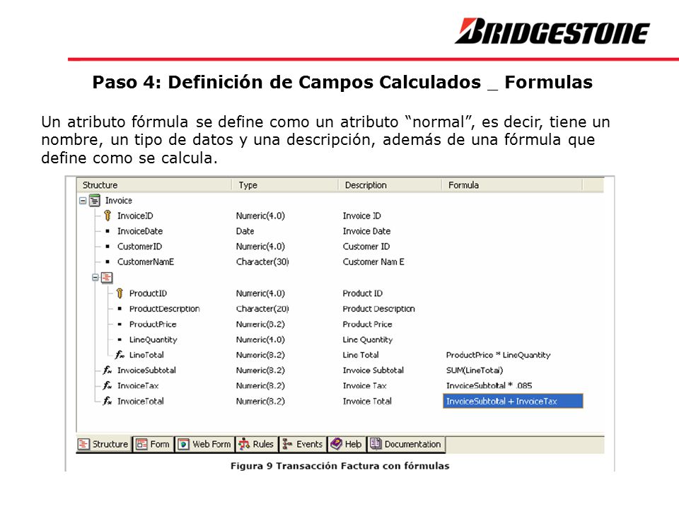Paso 4: Definición de Campos Calculados _ Formulas