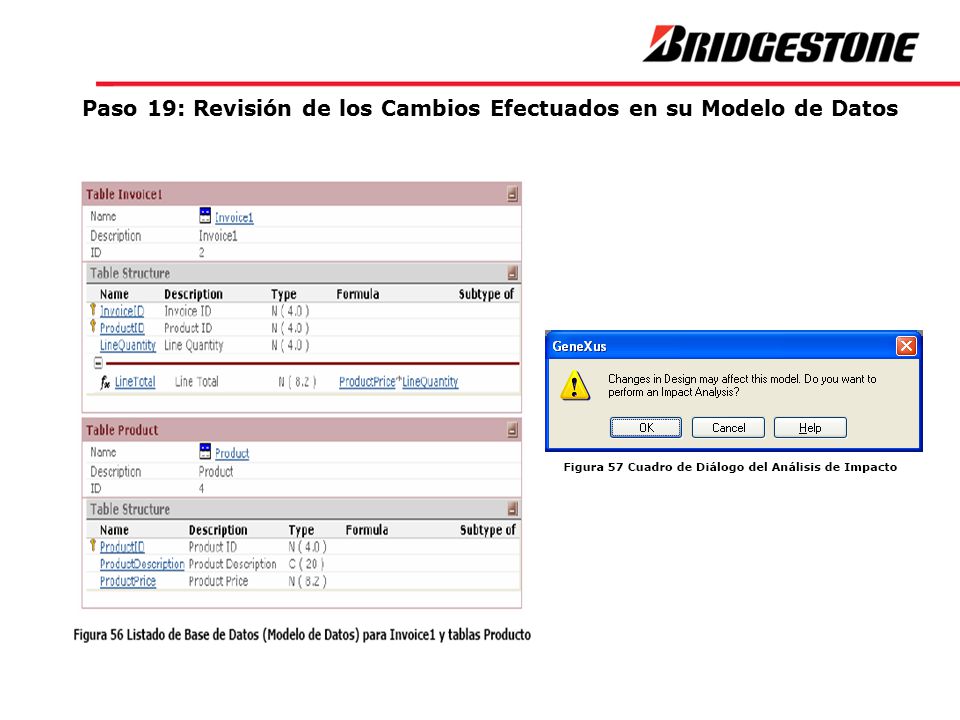 Paso 19: Revisión de los Cambios Efectuados en su Modelo de Datos