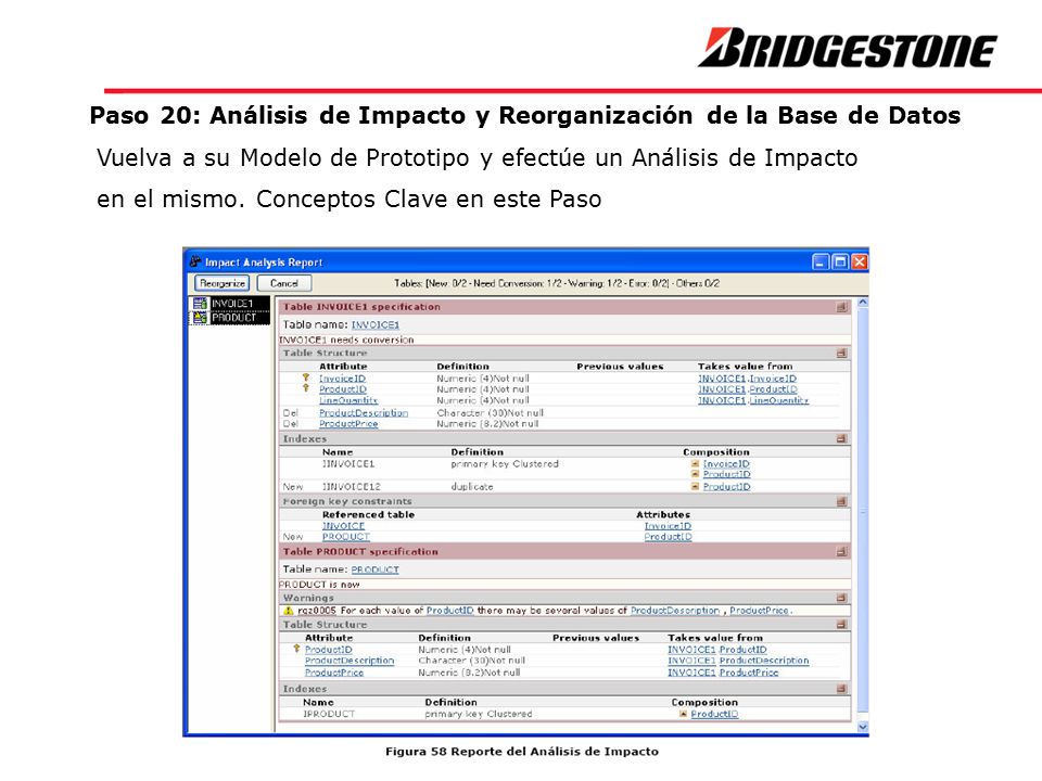Paso 20: Análisis de Impacto y Reorganización de la Base de Datos