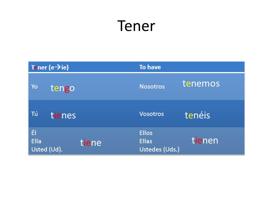 Tener tenemos tengo tienes tenéis tienen tiene Tener (eie) To have Yo