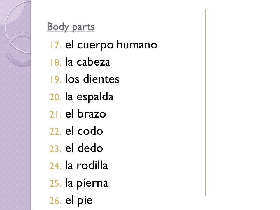 el cuerpo humano la cabeza los dientes la espalda el brazo el codo