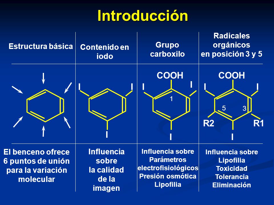 Introducción COOH COOH I I I I I I R2 R1 I I I Radicales orgánicos