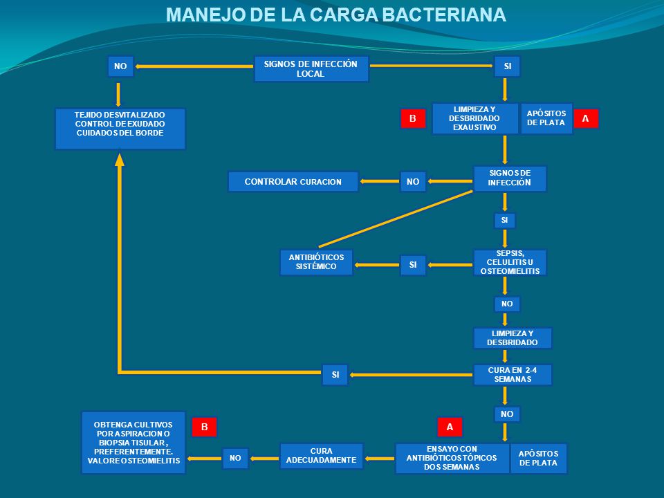MANEJO DE LA CARGA BACTERIANA