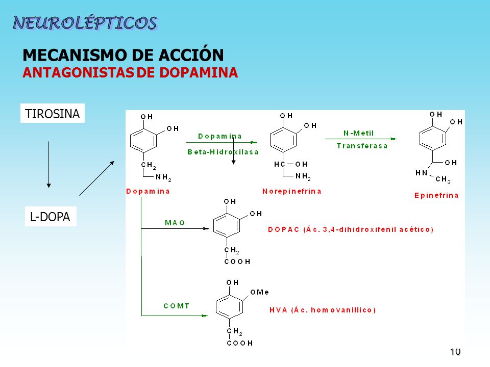 NEUROLÉPTICOS MECANISMO DE ACCIÓN ANTAGONISTAS DE DOPAMINA TIROSINA