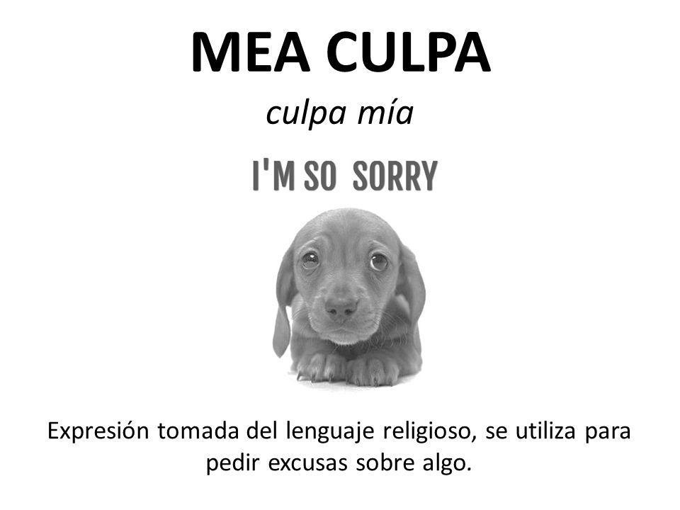 MEA CULPA culpa mía Expresión tomada del lenguaje religioso, se utiliza para pedir excusas sobre algo.
