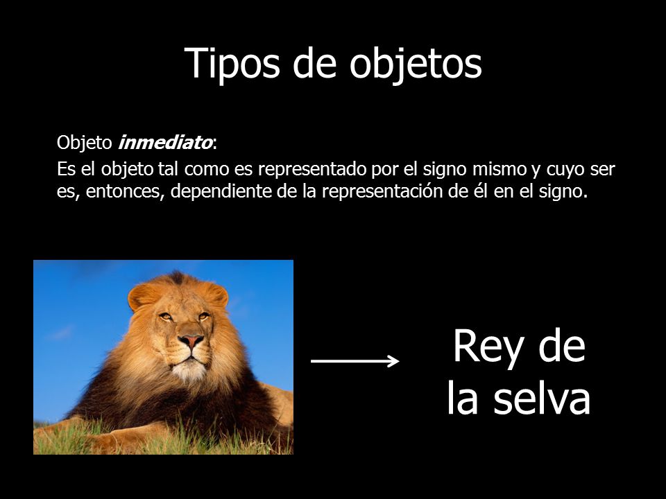 Rey de la selva Tipos de objetos