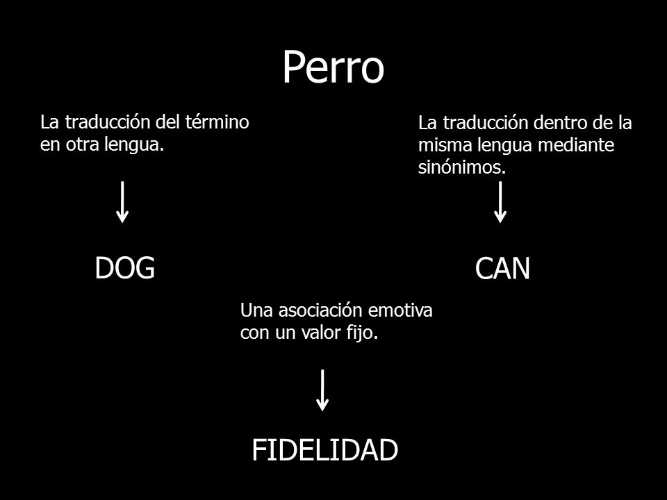 Perro DOG CAN FIDELIDAD La traducción del término en otra lengua.