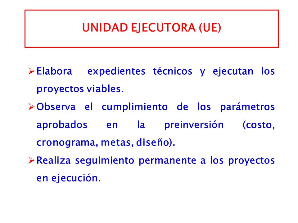 UNIDAD EJECUTORA (UE) Elabora expedientes técnicos y ejecutan los proyectos viables.