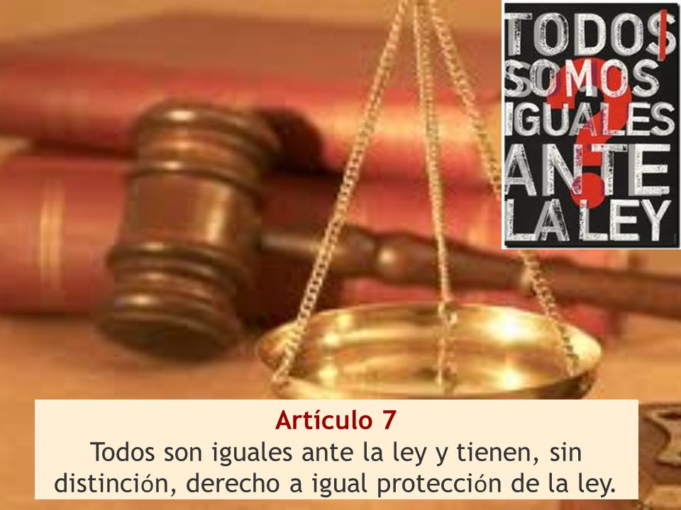 Artículo 7 Todos son iguales ante la ley y tienen, sin distinción, derecho a igual protección de la ley.