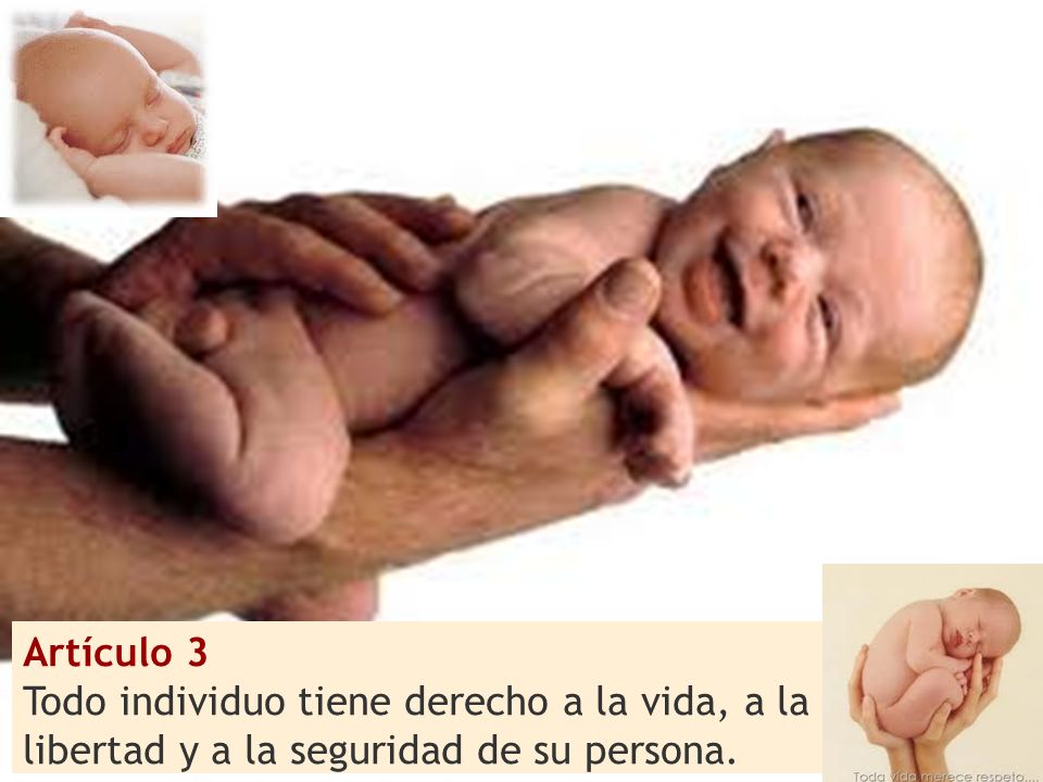 Artículo 3 Todo individuo tiene derecho a la vida, a la libertad y a la seguridad de su persona.