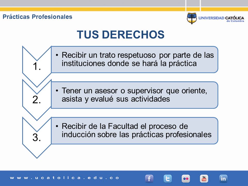 Prácticas Profesionales