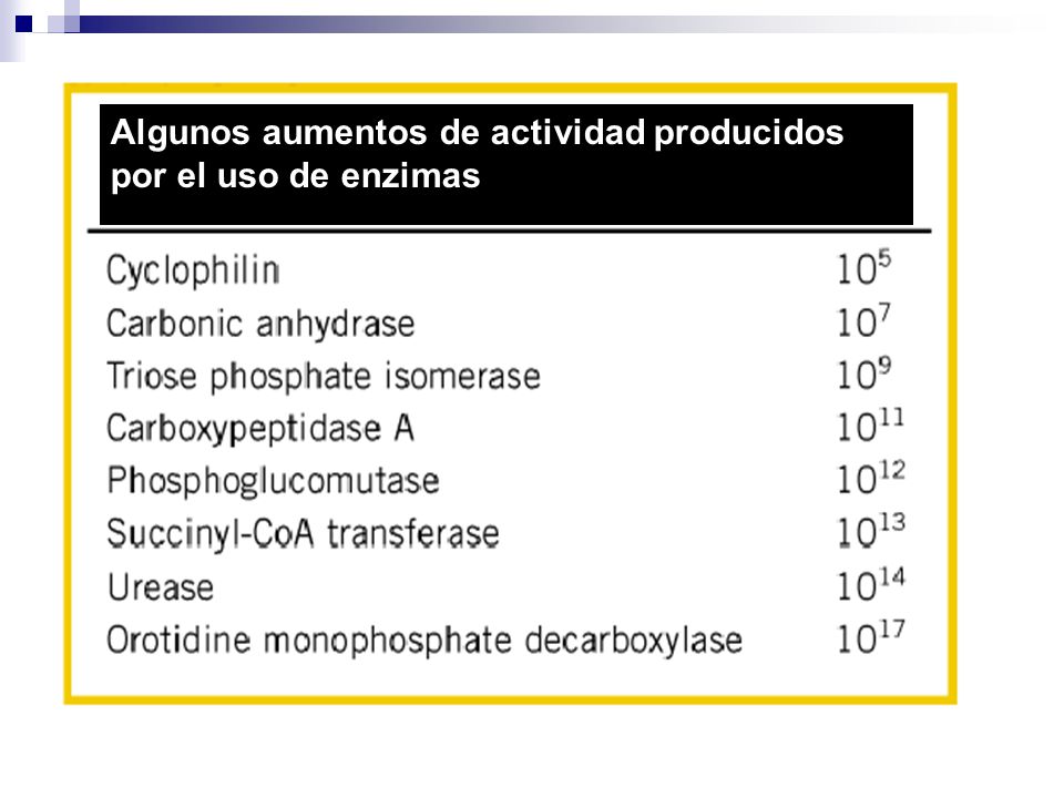 Algunos aumentos de actividad producidos por el uso de enzimas