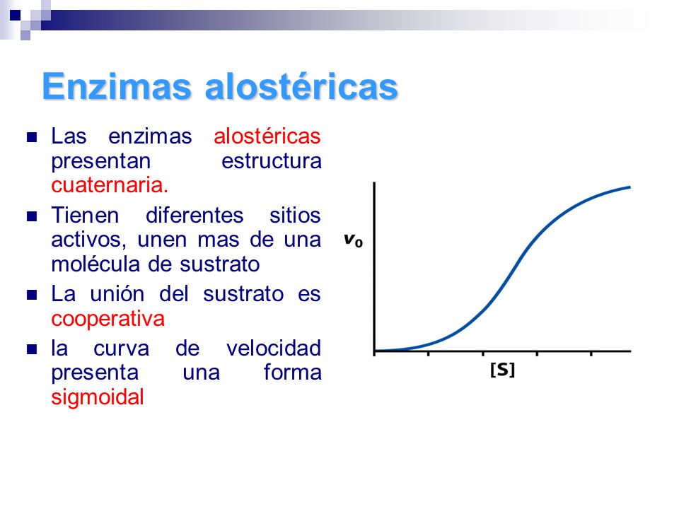 Enzimas alostéricas Las enzimas alostéricas presentan estructura cuaternaria. Tienen diferentes sitios activos, unen mas de una molécula de sustrato.