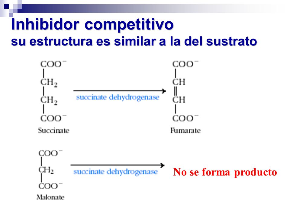 Inhibidor competitivo su estructura es similar a la del sustrato