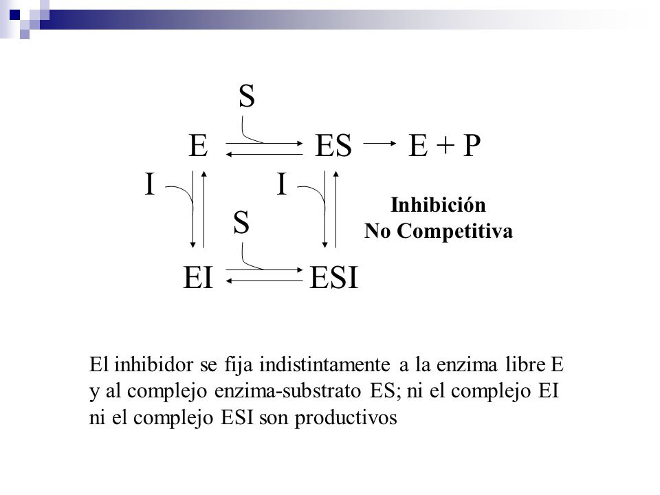 E ES EI I S E + P ESI Inhibición No Competitiva