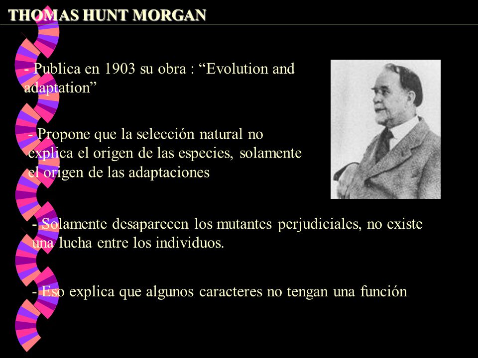 THOMAS HUNT MORGAN - Publica en 1903 su obra : Evolution and adaptation