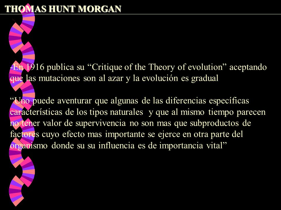 THOMAS HUNT MORGAN -En 1916 publica su Critique of the Theory of evolution aceptando que las mutaciones son al azar y la evolución es gradual.