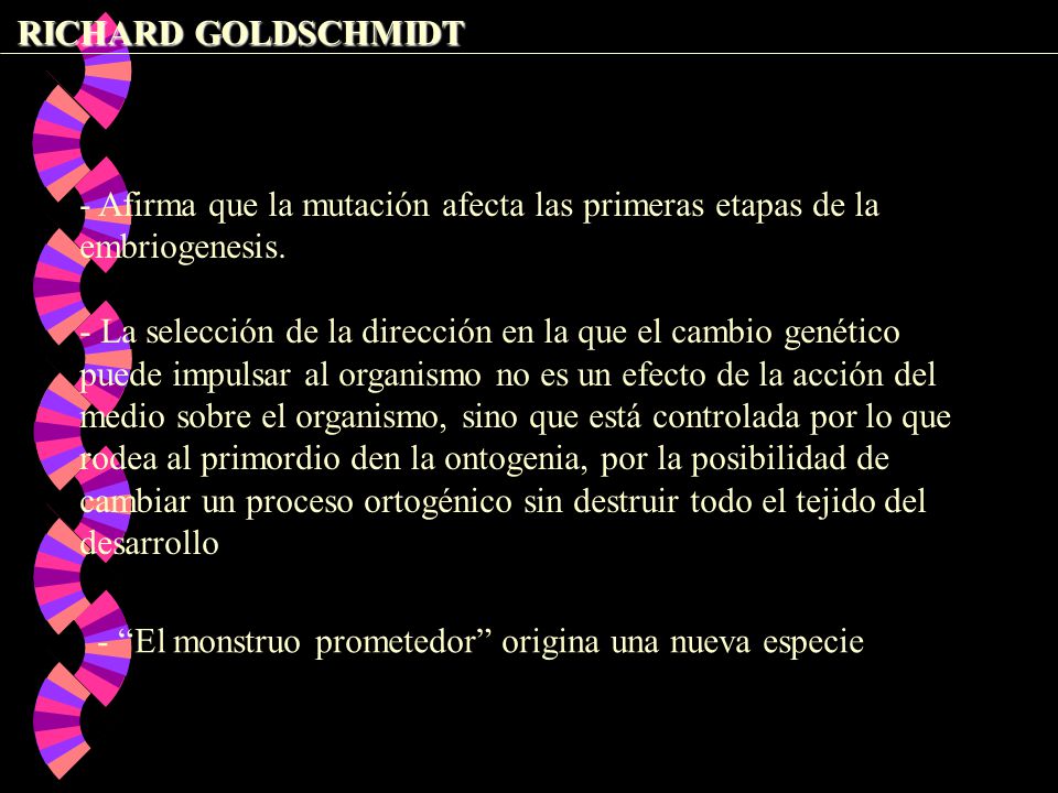 RICHARD GOLDSCHMIDT - Afirma que la mutación afecta las primeras etapas de la embriogenesis.