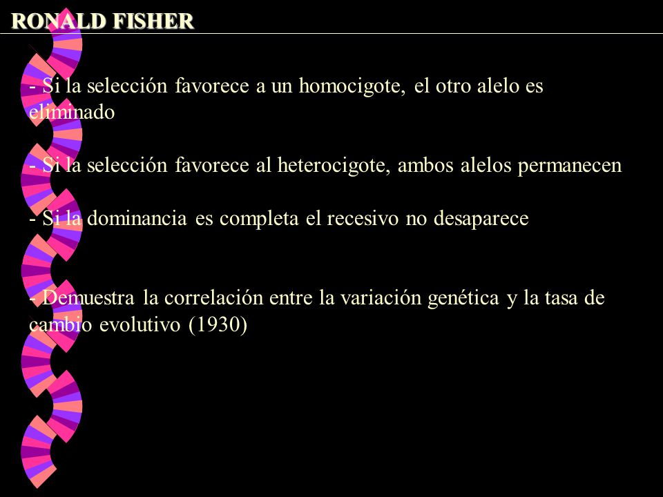 RONALD FISHER - Si la selección favorece a un homocigote, el otro alelo es eliminado.