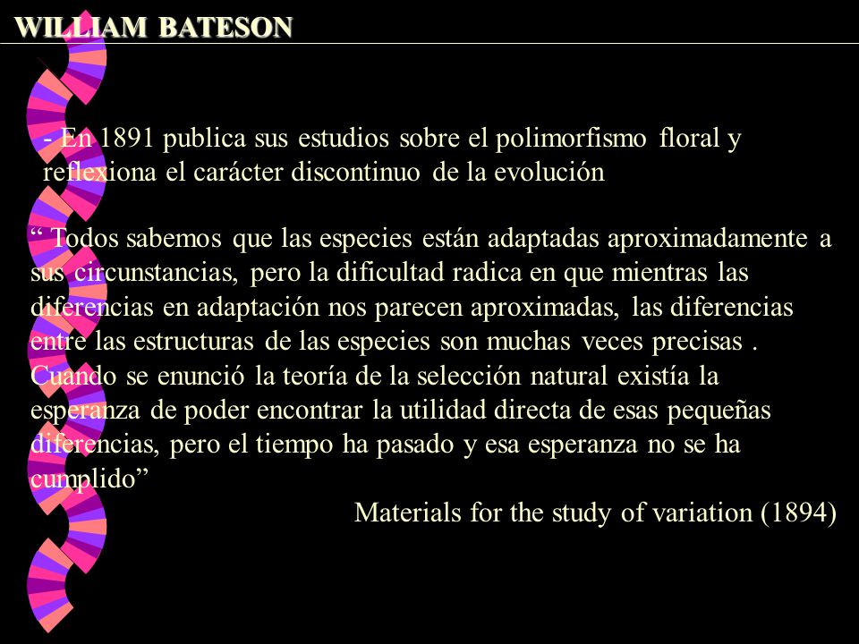 WILLIAM BATESON - En 1891 publica sus estudios sobre el polimorfismo floral y reflexiona el carácter discontinuo de la evolución.