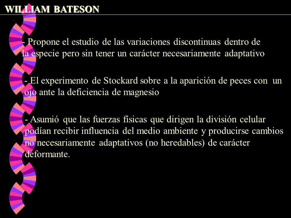 WILLIAM BATESON - Propone el estudio de las variaciones discontinuas dentro de la especie pero sin tener un carácter necesariamente adaptativo.