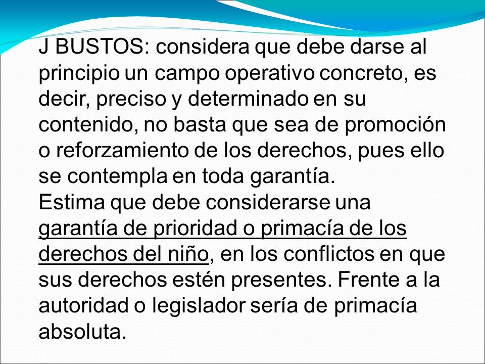 J BUSTOS: considera que debe darse al principio un campo operativo concreto, es decir, preciso y determinado en su contenido, no basta que sea de promoción o reforzamiento de los derechos, pues ello se contempla en toda garantía.