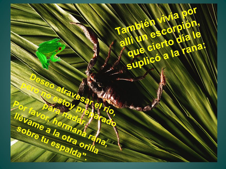 También vivía por allí un escorpión,