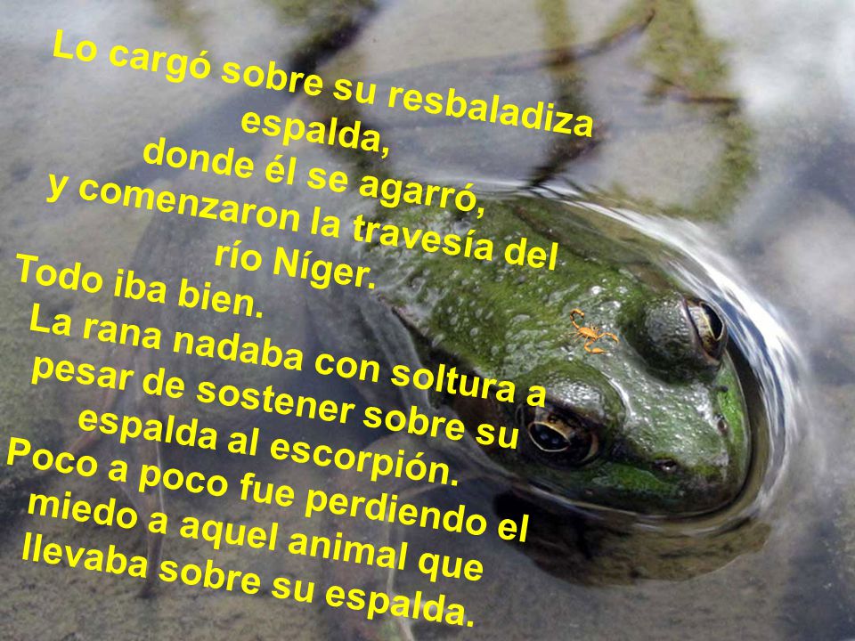 Lo cargó sobre su resbaladiza espalda, donde él se agarró,