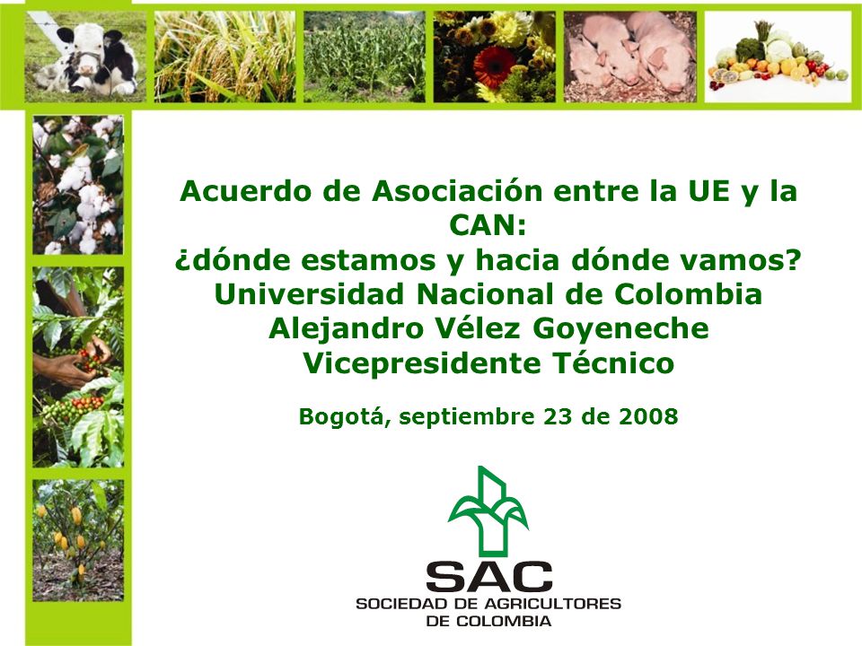 Acuerdo de Asociación entre la UE y la CAN: ¿dónde estamos y hacia dónde vamos Universidad Nacional de Colombia Alejandro Vélez Goyeneche Vicepresidente Técnico