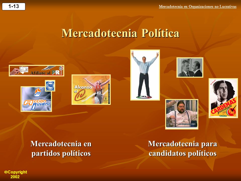 Mercadotecnia Política