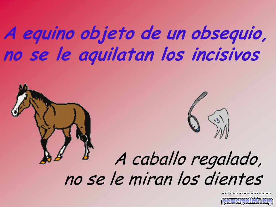 A equino objeto de un obsequio, no se le aquilatan los incisivos