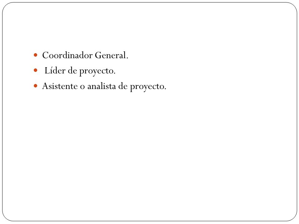 Coordinador General. Líder de proyecto. Asistente o analista de proyecto.