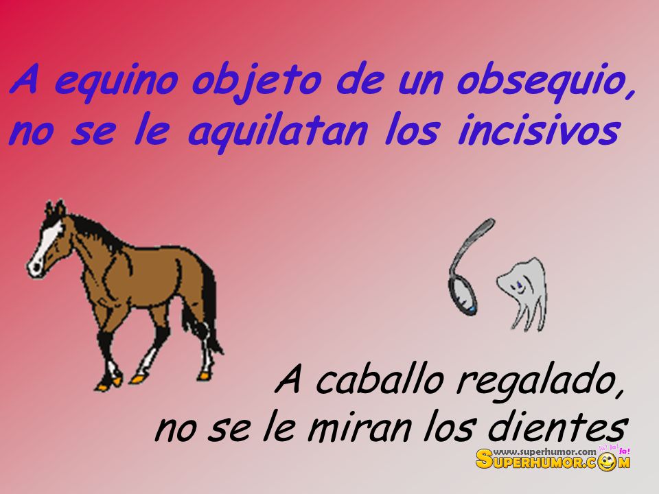 A equino objeto de un obsequio, no se le aquilatan los incisivos