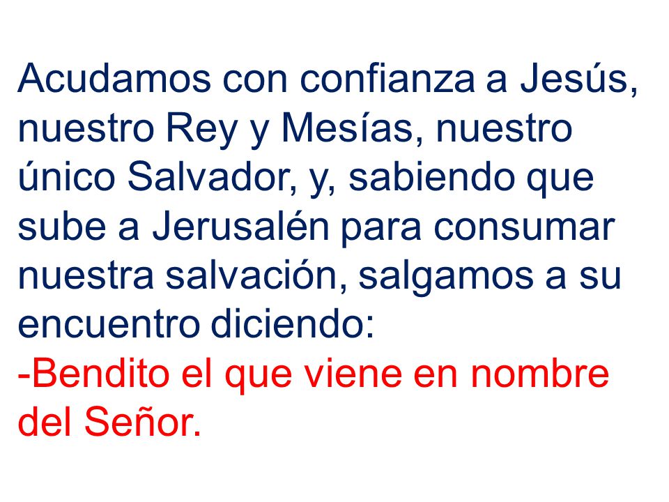 Acudamos con confianza a Jesús, nuestro Rey y Mesías, nuestro único Salvador, y, sabiendo que sube a Jerusalén para consumar nuestra salvación, salgamos a su encuentro diciendo: