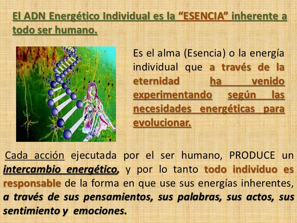 El ADN Energético Individual es la ESENCIA inherente a todo ser humano.