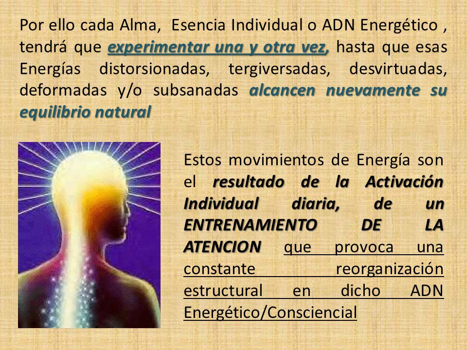 Por ello cada Alma, Esencia Individual o ADN Energético , tendrá que experimentar una y otra vez, hasta que esas Energías distorsionadas, tergiversadas, desvirtuadas, deformadas y/o subsanadas alcancen nuevamente su equilibrio natural