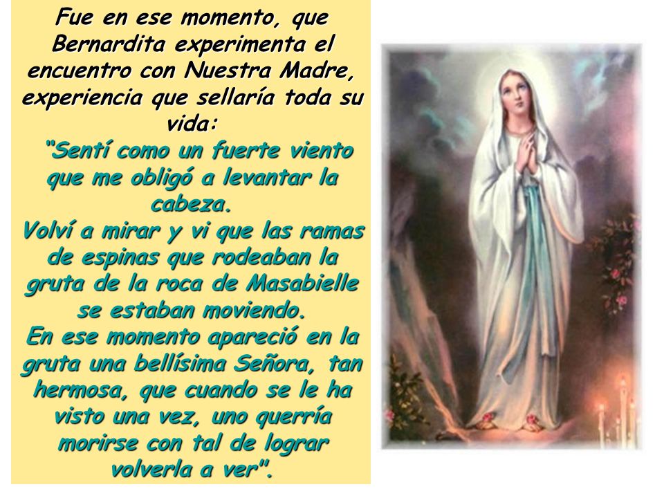 Sentí como un fuerte viento que me obligó a levantar la cabeza.